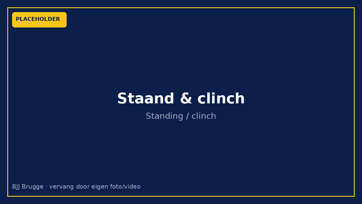 Placeholder: standing & clinch — vervang door eigen foto