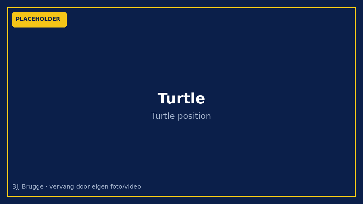 Placeholder: turtle vervang door eigen foto